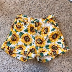 American Apparel Shorts